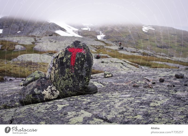 Rote T-Markierung an einem Felsen in einer kargen norwegischen Berglandschaft Berge u. Gebirge wandern Landschaft schlechtes Wetter Nebel Regen Wege & Pfade