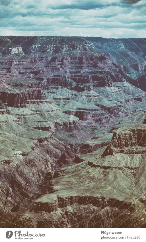 Beautiful Amerika (u) Himmel Wolken Tag Schatten Berge u. Gebirge Grand Canyon USA Landschaft Pflanze Tier Aussicht Ferne Menschenleer Sträucher Vulkankrater