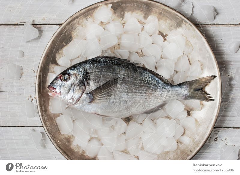 Dorado-Fische auf der Metallplatte mit Eis Meeresfrüchte Ernährung Teller Tisch Holz frisch schwarz weiß Hintergrund Essen zubereiten Speise Lebensmittel