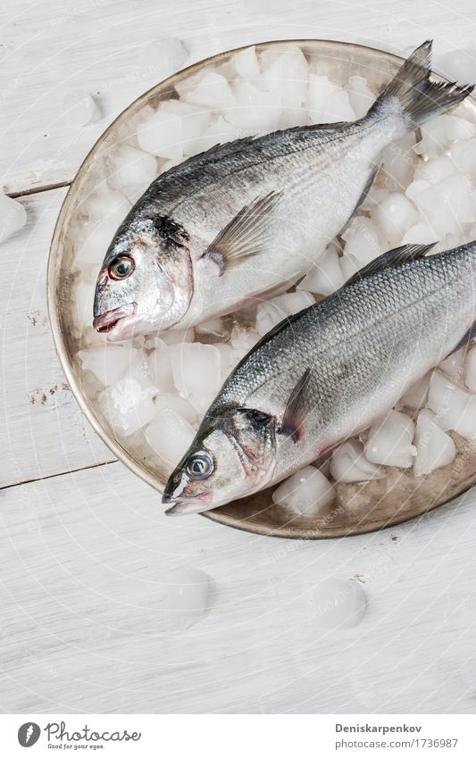 Dorado Fische und Seebarsch auf der Metallplatte mit Eis Meeresfrüchte Ernährung Teller Tisch Holz frisch schwarz weiß Hintergrund Essen zubereiten Speise