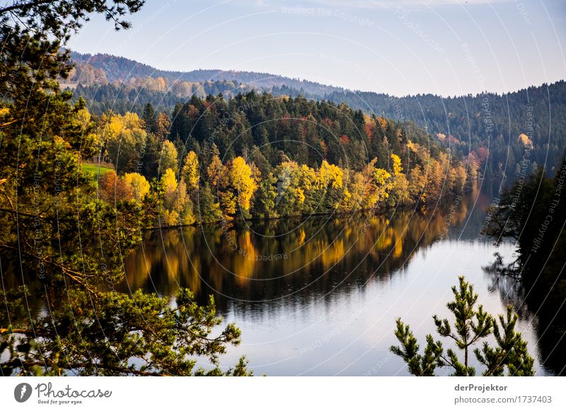 Herbststimmung in Bayern Ferien & Urlaub & Reisen Tourismus Ausflug Ferne Freiheit Berge u. Gebirge wandern Umwelt Natur Landschaft Pflanze Tier Schönes Wetter