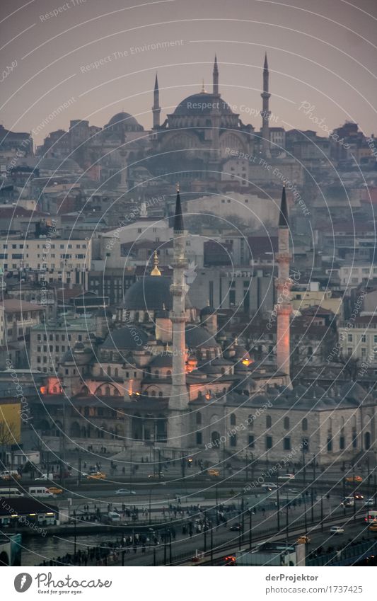 Blick auf Moscheen in Istanbul I Abend blau historisch Hügel Türkei Blaue Moschee Religion & Glaube Europa Minarett Panorama (Aussicht) Sonnenuntergang