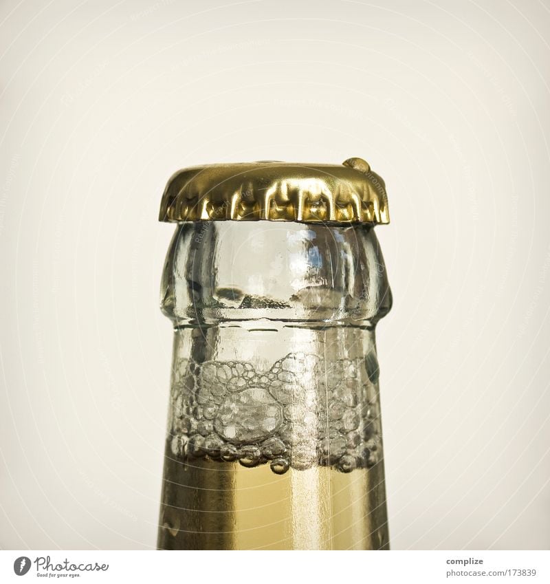 Das Gold des kleinen Mannes Farbfoto Gedeckte Farben Innenaufnahme Textfreiraum oben Zentralperspektive Getränk Erfrischungsgetränk Limonade Alkohol Bier