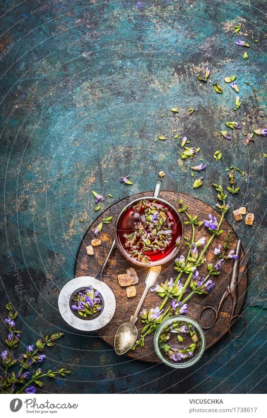 Kräutertee mit frischen Heilkräutern und Blumen Lebensmittel Kräuter & Gewürze Getränk Heißgetränk Tee Geschirr Tasse Glas Stil Design Gesundheit Behandlung