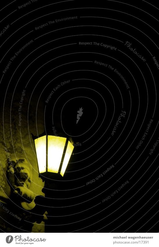 wilder Löwe Lampe Laterne Licht dunkel alt Löwenkopf Kunstlicht Nachtaufnahme Vor dunklem Hintergrund Textfreiraum oben Textfreiraum Mitte Straßenbeleuchtung