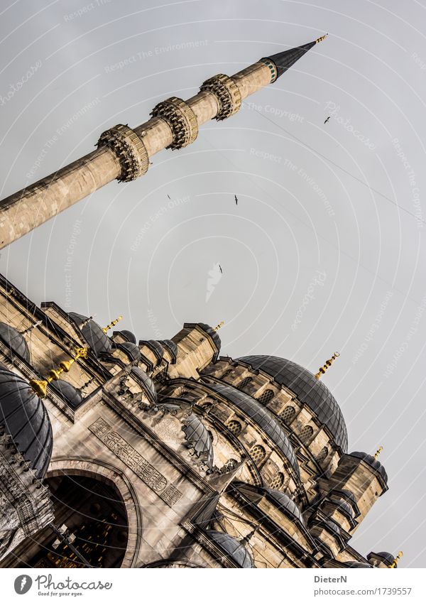 geneigt Architektur Kultur Istanbul Hauptstadt Stadtzentrum Menschenleer Kirche Turm Sehenswürdigkeit Wahrzeichen Moschee Stein gelb grau schwarz Minarett