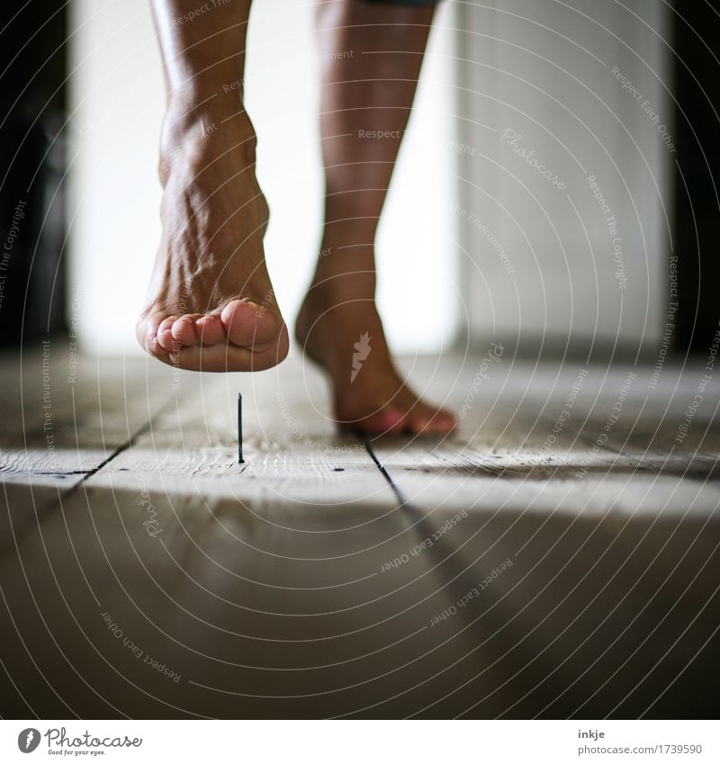 die was-passiert-dann-Geschichte Häusliches Leben Frau Erwachsene Fuß Barfuß 1 Mensch Holzfußboden Dielenboden Nagel gehen bedrohlich Spitze unaufmerksam