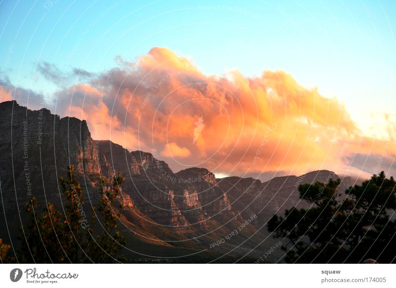 Cloud Farbfoto mehrfarbig Außenaufnahme Menschenleer Textfreiraum oben Abend Dämmerung Licht Schatten Kontrast Lichterscheinung Sonnenlicht Sonnenaufgang