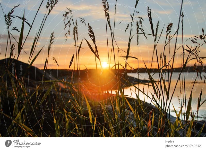 Sonnenuntergang  am Meer mit Gegenlicht in den Schären in Schweden Sonnenaufgang Schönes Wetter Sommer Ostsee harmonisch Wohlgefühl Zufriedenheit Sinnesorgane