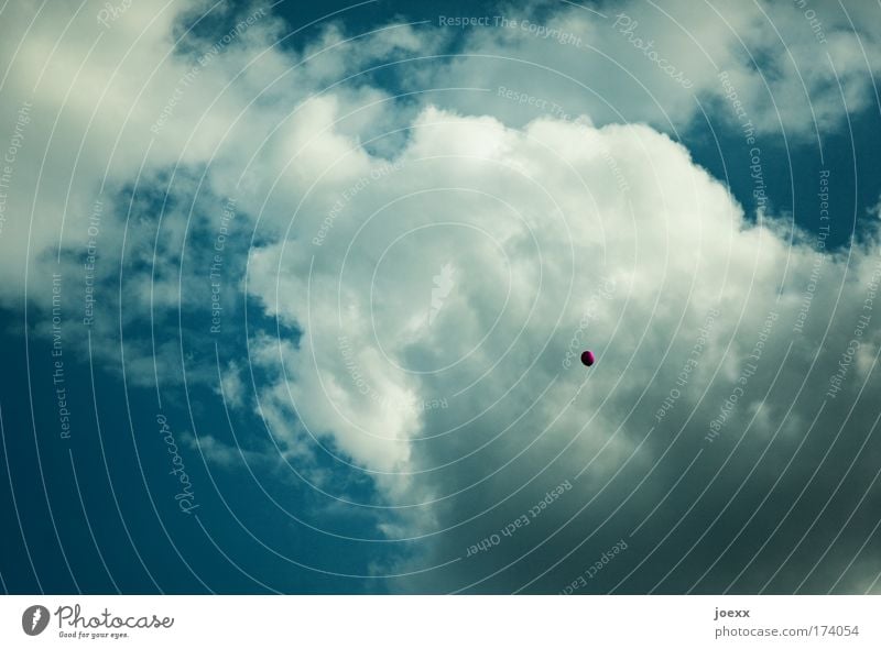 Die große Freiheit Farbfoto Außenaufnahme Textfreiraum links Textfreiraum oben Kontrast Sonnenlicht Luft nur Himmel Wolken Luftballon Feste & Feiern fliegen