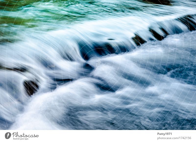 Wildes Wasser Natur Bach Fluss Wasserfall Stromschnellen nass grün türkis ruhig Energie Erholung Geschwindigkeit rein Umwelt Farbfoto Außenaufnahme Tag