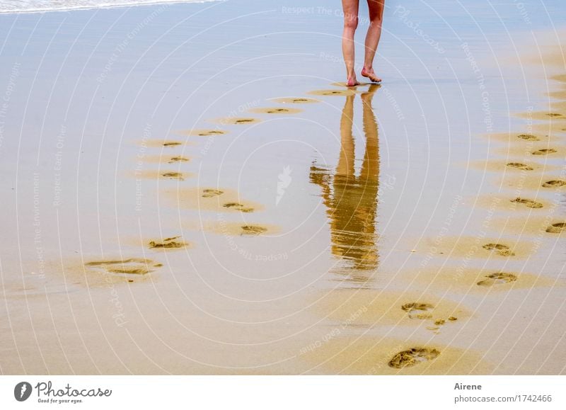 weiter, immer weiter Sommerurlaub Strand Meer Mensch feminin Junge Frau Jugendliche Beine Fuß 1 18-30 Jahre Erwachsene Urelemente Wasser Schönes Wetter Küste