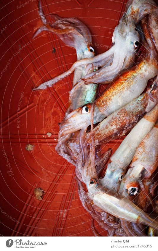 Mittag. Kunst ästhetisch Tintenfisch Meeresfrüchte Fischmarkt frisch Fangquote fangen Fischereiwirtschaft Tentakel Farbfoto mehrfarbig Außenaufnahme Nahaufnahme