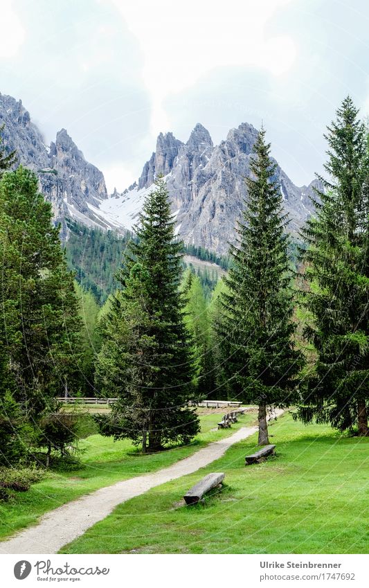 Blick zum Monte Cristallo Ferien & Urlaub & Reisen Tourismus Ausflug Sommer Sommerurlaub Berge u. Gebirge wandern Umwelt Natur Landschaft Pflanze Himmel Wolken