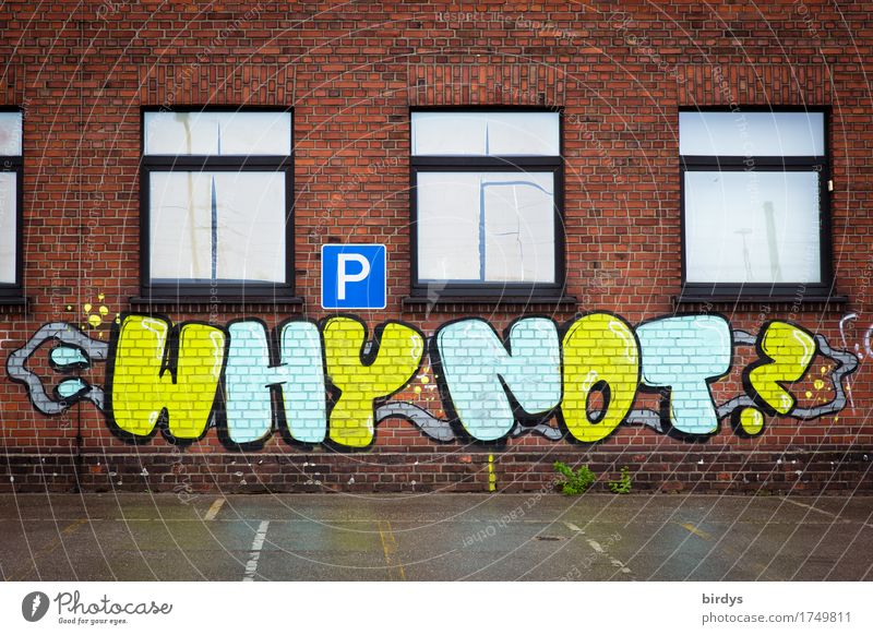 Warum? Haus Parkplatz Fassade Fenster Backsteinfassade Schriftzeichen Schilder & Markierungen Graffiti berühren ästhetisch frech frei positiv rebellisch blau