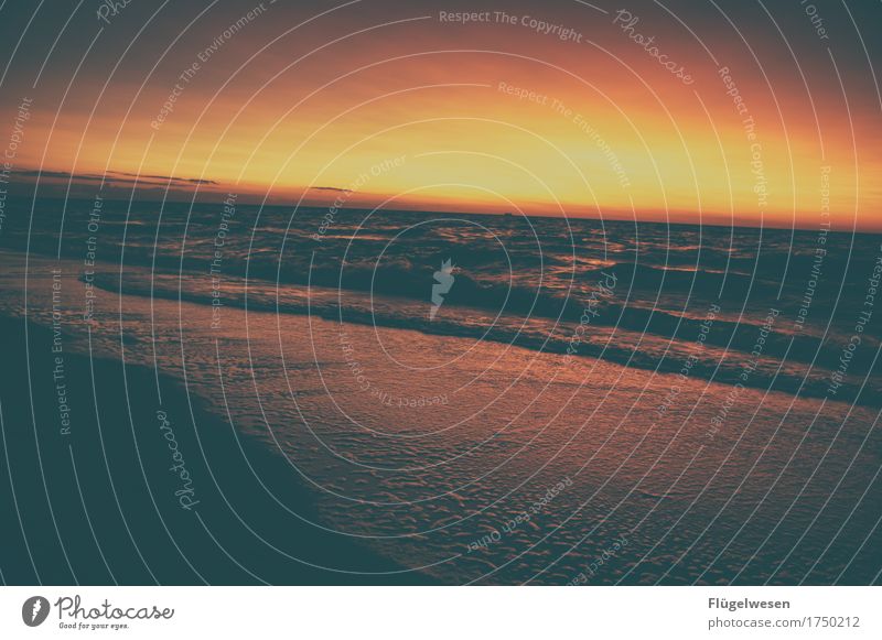 Northsea Ferien & Urlaub & Reisen Tourismus Ausflug Abenteuer Wellen Küste Nordsee Ostsee Meer Gefühle Sonnenuntergang Sonnenlicht Sonnenstrahlen Sonnenaufgang