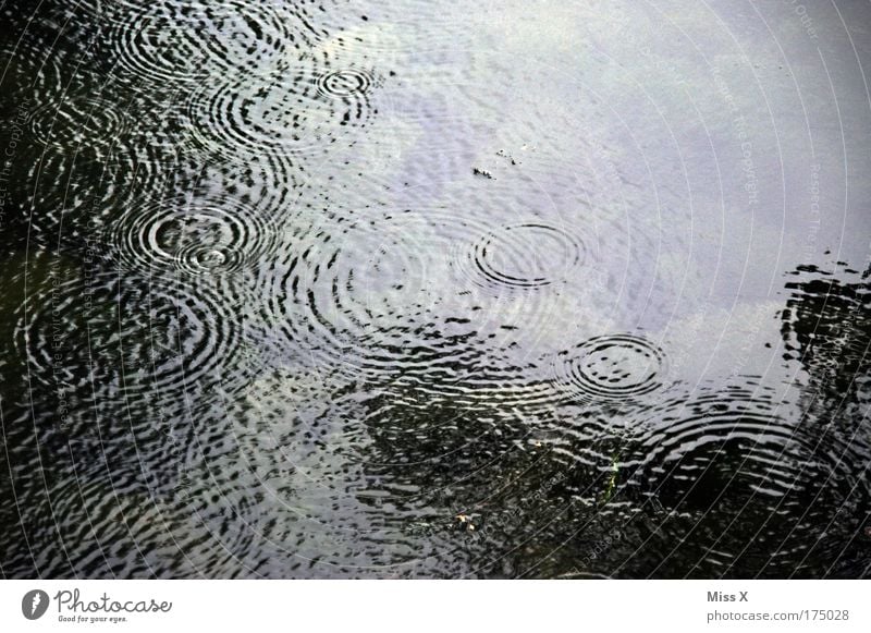 Regen im Sommer Außenaufnahme Detailaufnahme Strukturen & Formen Menschenleer Tag Licht Schatten Reflexion & Spiegelung Ausflug Wasser Klima Klimawandel