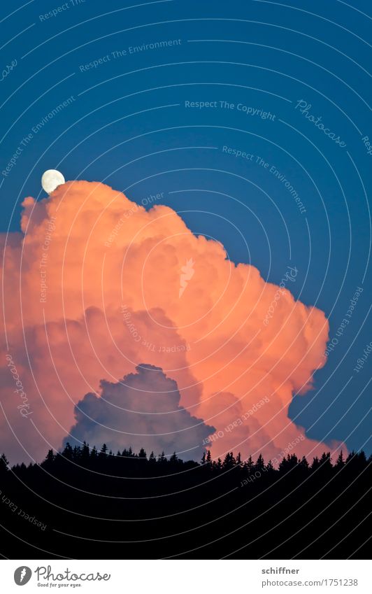 überwacht | vom Mond Umwelt Natur Landschaft Himmel Wolken Gewitterwolken Sonnenaufgang Sonnenuntergang Wetter Schönes Wetter schlechtes Wetter Wald