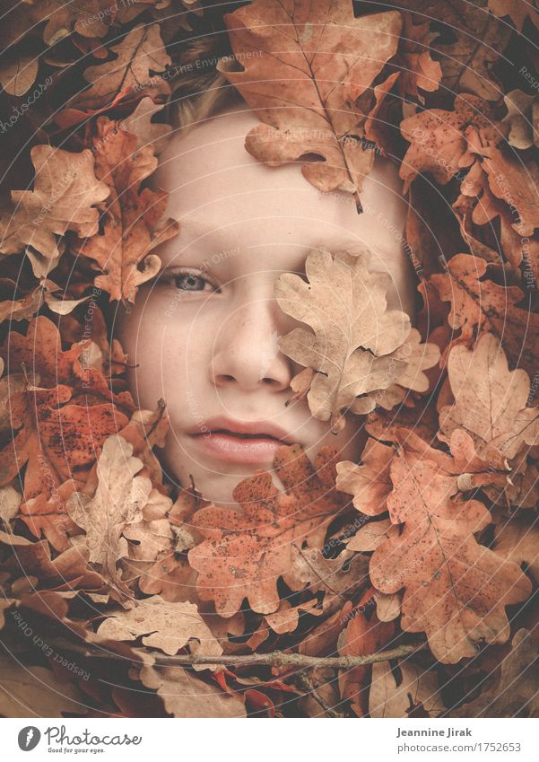 Im Herbst Erntedankfest maskulin Junge Gesicht 1 Mensch Natur Pflanze Blatt beobachten Blick träumen Wärme Schutz Geborgenheit Klima Kreativität Umwelt
