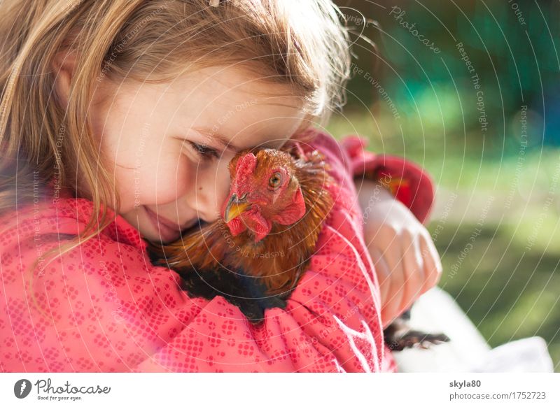 Fürsorglich Mädchen Kind Freude Kindheit Kindheitserinnerung Haare & Frisuren Haushuhn Küssen festhalten Sicherheit Tierliebe Warmherzigkeit Haustier Wärme