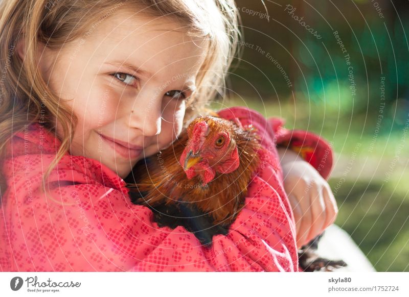 Beschützerinstinkt Mädchen Kind Freude Kindheit Kindheitserinnerung Haare & Frisuren Haushuhn Tierliebe Küssen festhalten Sicherheit Geborgenheit Wärme