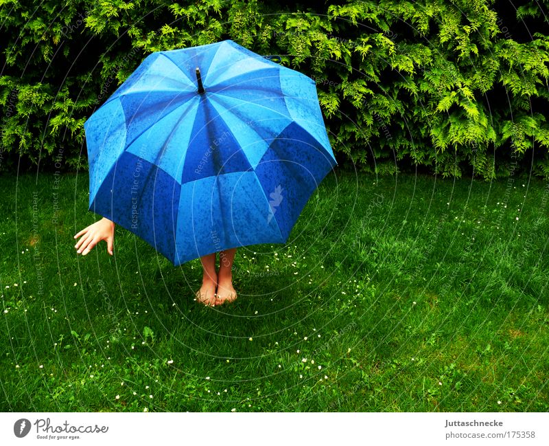 Nach dem Regen kommt die Sonne Schirm Regenschirm aufspannen Wetter aufgespannt Schutz schützen schlechtes Wetter Optimismus Hand Bein Fuß Gras Wiese