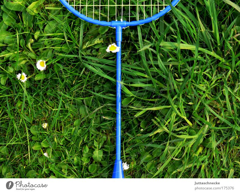 Zu heiß zum Spielen Federballschläger Schläger Netz Gras Wiese Badminton liegen vergessen ausgemustert ausmustern Kindheit Freude Bewegung Juttaschnecke