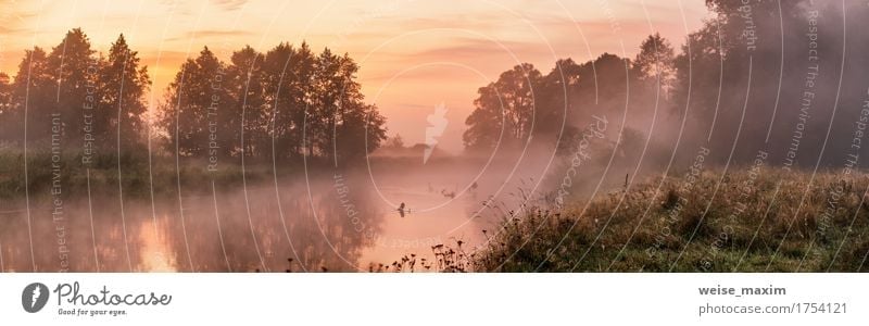 Nebeliger Fluss morgens Ferien & Urlaub & Reisen Sommer Tapete Natur Landschaft Himmel Sonnenaufgang Sonnenuntergang Herbst Baum Wald See frisch grün weiß