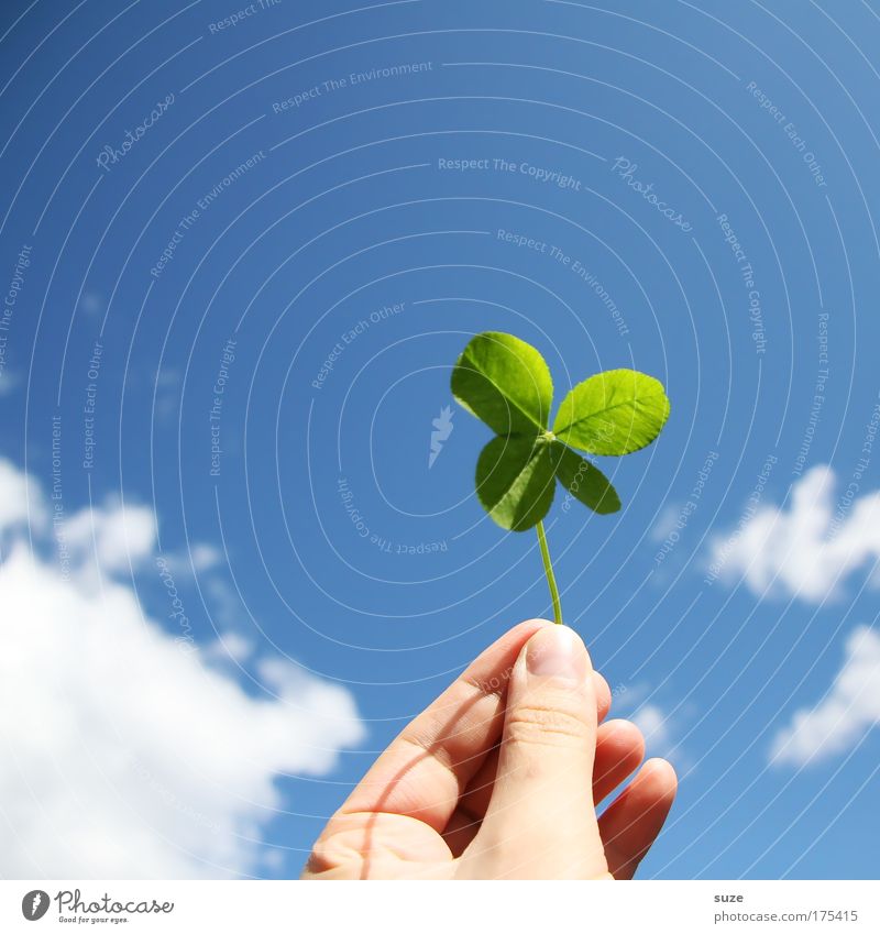 Glücksbringer Hand Finger Umwelt Natur Himmel Wolken Pflanze Klee Kleeblatt Zeichen festhalten Fröhlichkeit blau grün Vorfreude Erfolg Lotterie Glücksklee