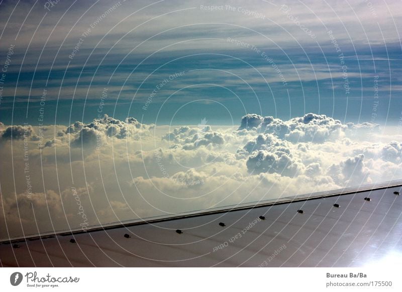 Träumerei Außenaufnahme Luftaufnahme Menschenleer Tag Himmel Wolken Sonne Stimmung Flugzeug Luftverkehr blau weiß Tragfläche fliegen Freiheit Unendlichkeit