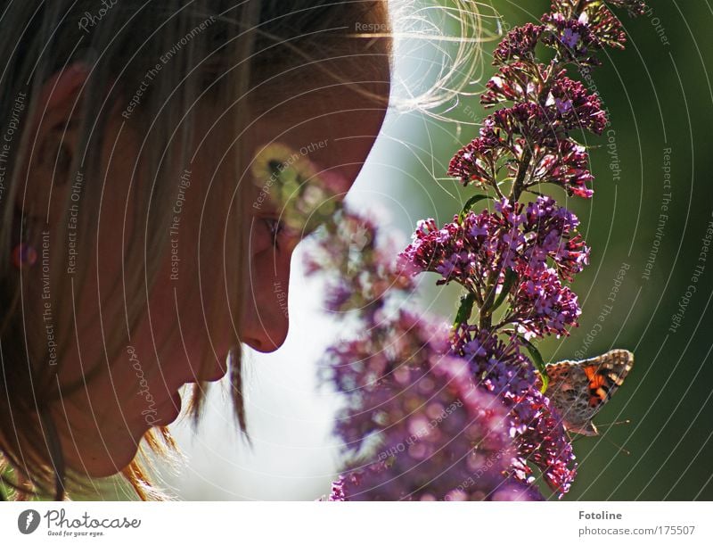 Hallo Schmetterling! Farbfoto mehrfarbig Außenaufnahme Tag Sonnenlicht Froschperspektive Profil Mensch feminin Kind Mädchen Kopf Haare & Frisuren Gesicht Ohr