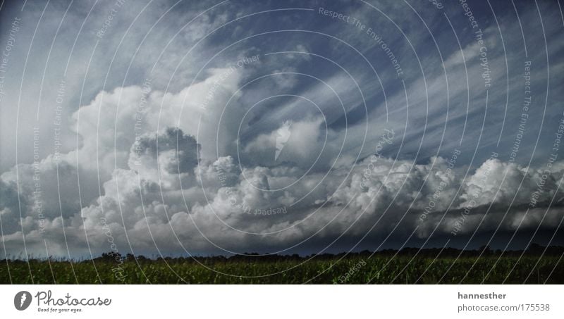 es wird regen geben Farbfoto Außenaufnahme Menschenleer Textfreiraum oben Textfreiraum unten Tag Kontrast Sonnenlicht Landschaft Himmel Wolken Gewitterwolken