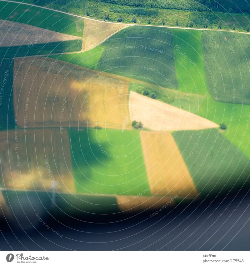 4-Felder-Wirtschaft Farbfoto Außenaufnahme Luftaufnahme Textfreiraum unten Tag Schatten Vogelperspektive Landschaft Sommer Getreide Getreidefeld Getreideernte