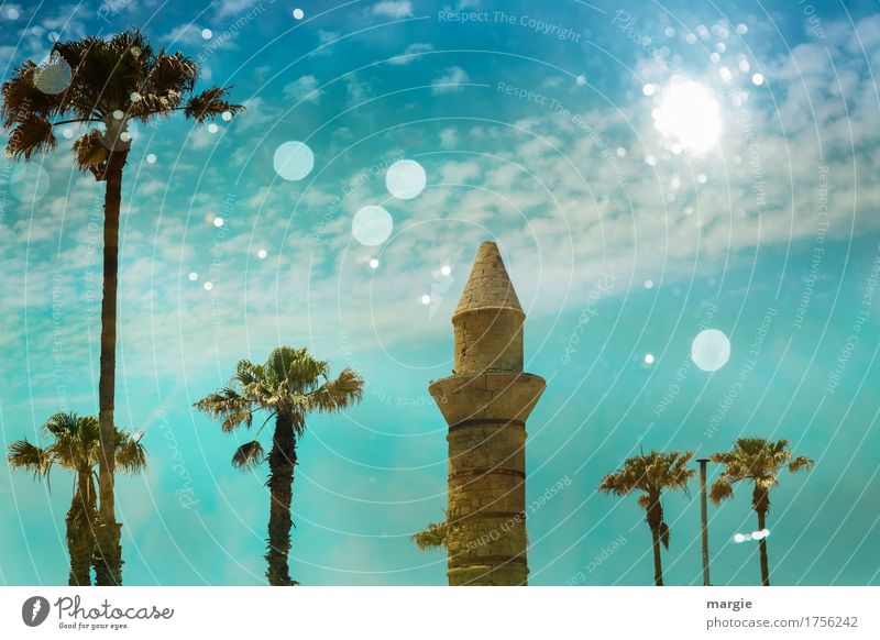 Antike Moschee mit Palmen und blauem Himmel Ferien & Urlaub & Reisen Tourismus Ausflug Abenteuer Ferne Sightseeing Sommer Sommerurlaub Sonne Kunst Kultur Baum
