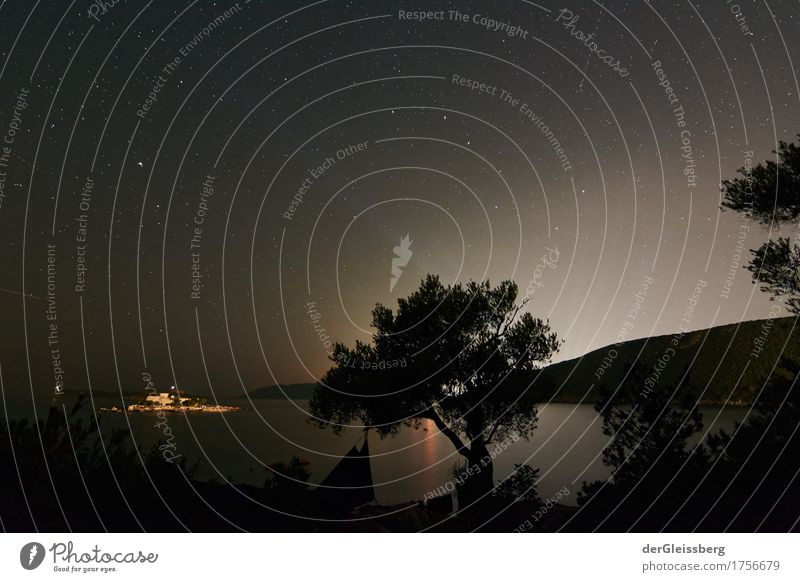 Licht der Ferne beim Olivenbaum Natur Landschaft Wasser Himmel Wolkenloser Himmel Nachthimmel Stern Sommer Baum Hügel Küste Meer Montenegro Europa warten