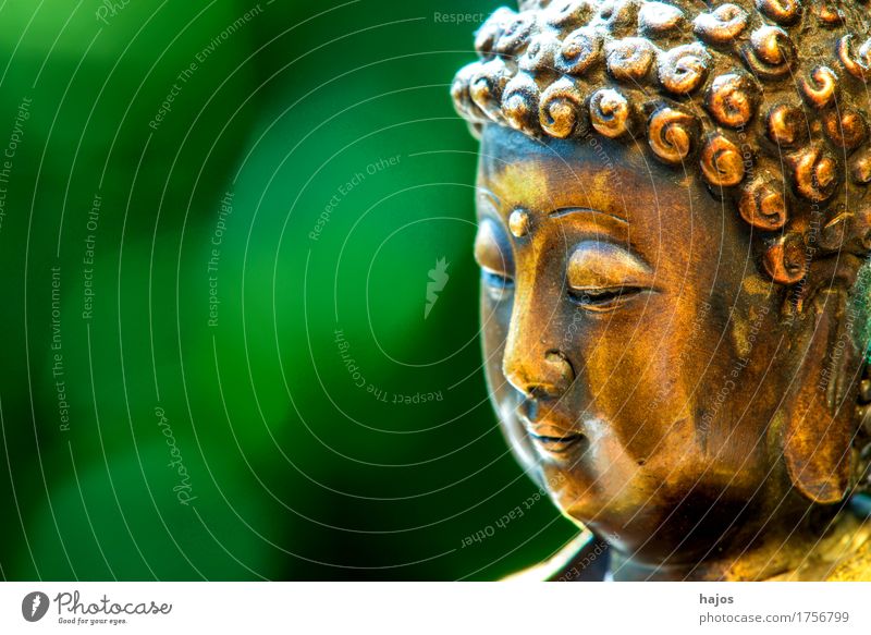 Buddha in Trance Meditation alt positiv grün Güte Weisheit Religion & Glaube Wissen Buddhismus vertiefen Nirwana Hintergund Textraum Freiraum Verständniss Asien