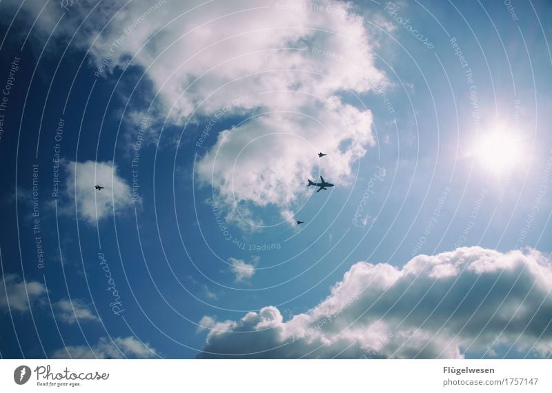 Flugschule Umwelt Natur Himmel nur Himmel Wolkenloser Himmel Klima Klimawandel Wetter Luftverkehr Flugzeug Passagierflugzeug Propellerflugzeug Doppeldecker