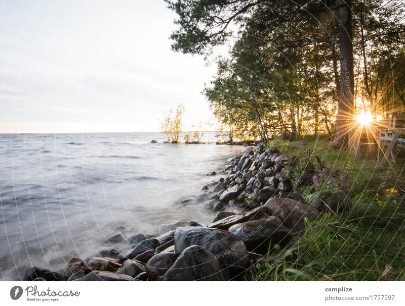 Lappajärvi Ferien & Urlaub & Reisen Freiheit Sommer Sommerurlaub Sonne Sonnenbad Strand Insel Wellen Umwelt Natur Himmel Sonnenaufgang Sonnenuntergang