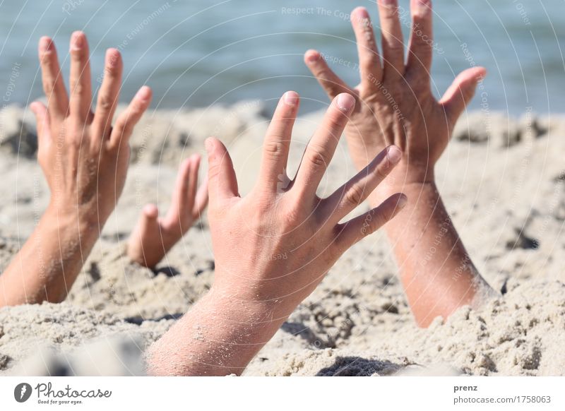 Handarbeit Mensch maskulin feminin Körper Arme Finger 4 18-30 Jahre Jugendliche Erwachsene Landschaft Sand Frühling Sommer Schönes Wetter Küste Strand Ostsee