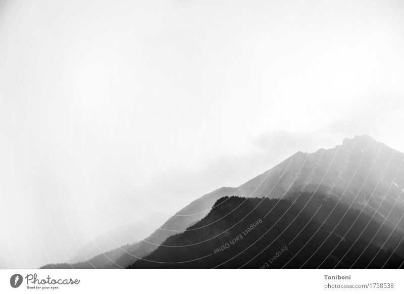 Wetter Ferne Freiheit Berge u. Gebirge wandern Natur Landschaft Urelemente Himmel Wolken schlechtes Wetter Unwetter Nebel Regen Alpen Nordkette Gipfel entdecken