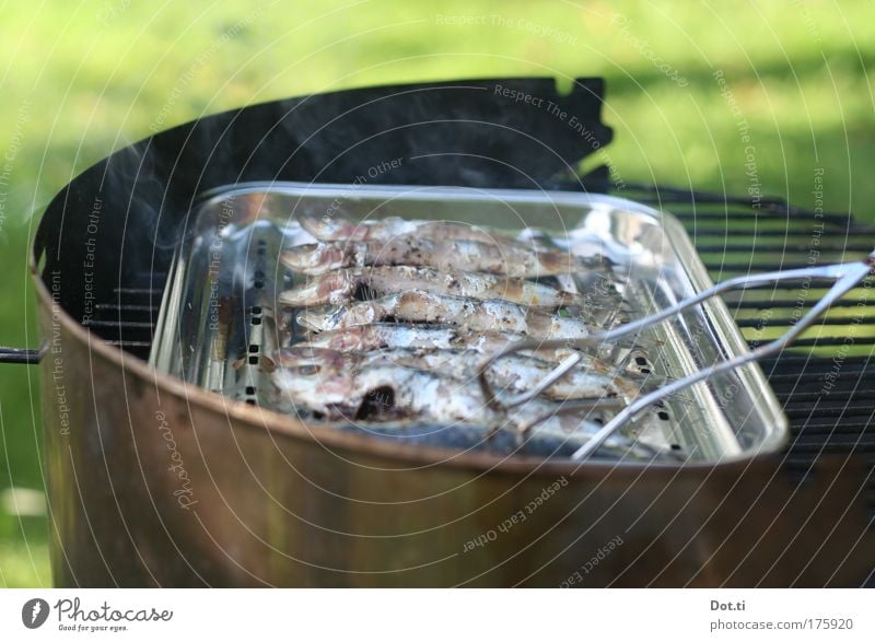 Sardinade Farbfoto Außenaufnahme Menschenleer Textfreiraum oben Textfreiraum unten Tag Kontrast Lebensmittel Fisch Ernährung Freizeit & Hobby heiß Grillen