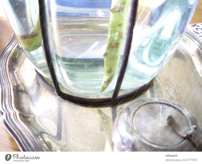 Vase mit Tablett Querformat Silbertablett Reflexion & Spiegelung Tisch Aschenbecher Häusliches Leben Wasser