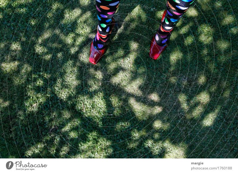 Punktlandung: Mädchen - Beine mit bunten Punkten auf den Strümpfen stehend auf einer Wiese unter einem Baum feminin Frau Erwachsene Fuß 1 Mensch Natur Erde