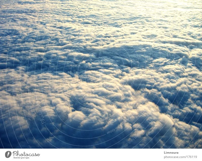 Grenzenlos Farbfoto Außenaufnahme Luftaufnahme Menschenleer Tag Licht Schatten Vogelperspektive Luftverkehr Umwelt Landschaft Urelemente Himmel Wolken Herbst
