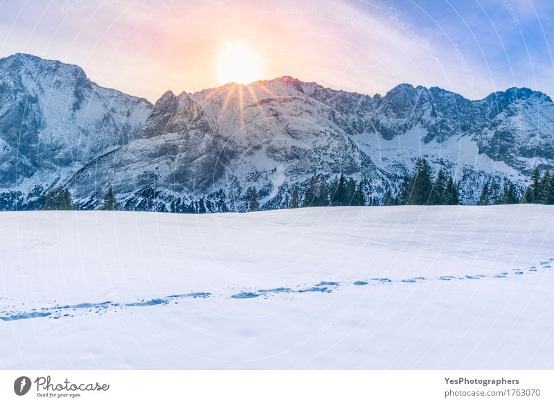 Sun scheint über Berggipfel und Schnee Freude ruhig Freiheit Sonne Berge u. Gebirge Silvester u. Neujahr Wetter Baum Alpen Gipfel Schneebedeckte Gipfel Fährte