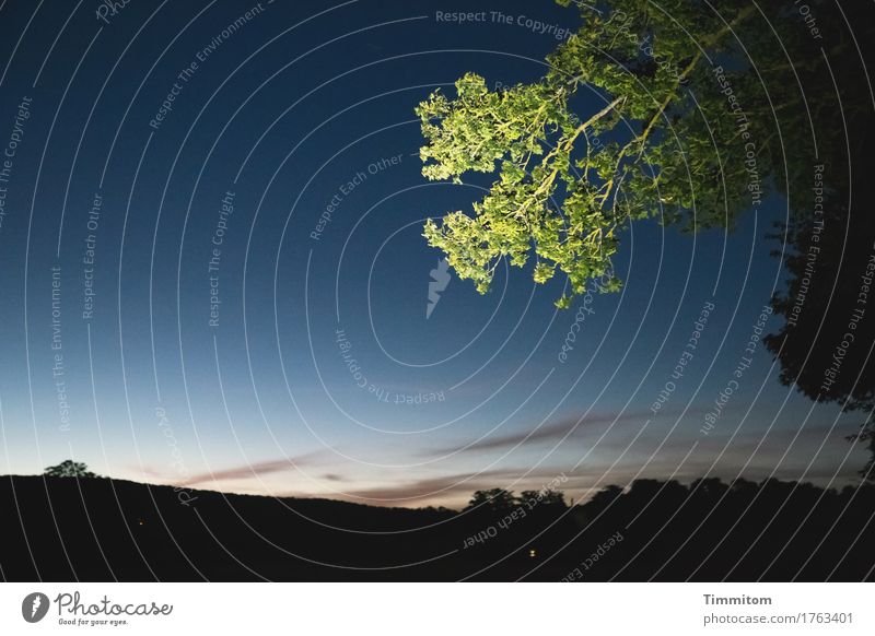 Spätburgunder. Umwelt Natur Landschaft Pflanze Himmel Wolken Nachthimmel Hügel Frankreich Straße Verkehrszeichen einfach blau grün schwarz Gefühle Lebensfreude