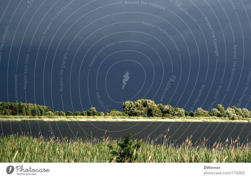 Vor dem Wolkenbruch Leben harmonisch ruhig Ausflug Expedition Sommer Sonne Umwelt Natur Wasser Himmel Gewitterwolken Horizont Unwetter Seeufer bedrohlich dunkel