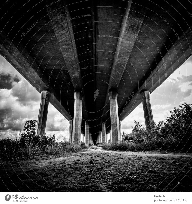 Geerdet Menschenleer Brücke Bauwerk Architektur Wege & Pfade Autobahn grau schwarz weiß Säule Beton Linie Wolken Sträucher Sand Himmel Schwarzweißfoto