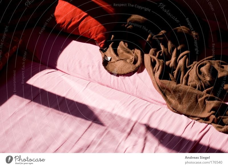 Guten Morgen Farbfoto Innenaufnahme Detailaufnahme Menschenleer Tag Licht Schatten Kontrast Sonnenlicht schlafen aufstehen Erholung ruhig Häusliches Leben