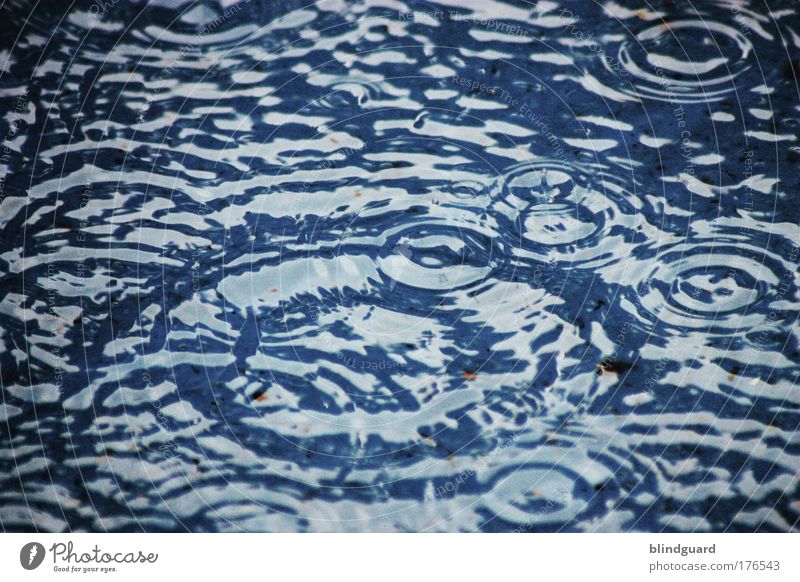 Every Drop Of Rain Farbfoto Außenaufnahme Detailaufnahme Experiment Menschenleer Tag Whirlpool Umwelt Wasser Wassertropfen Sommer Klima Klimawandel Wetter
